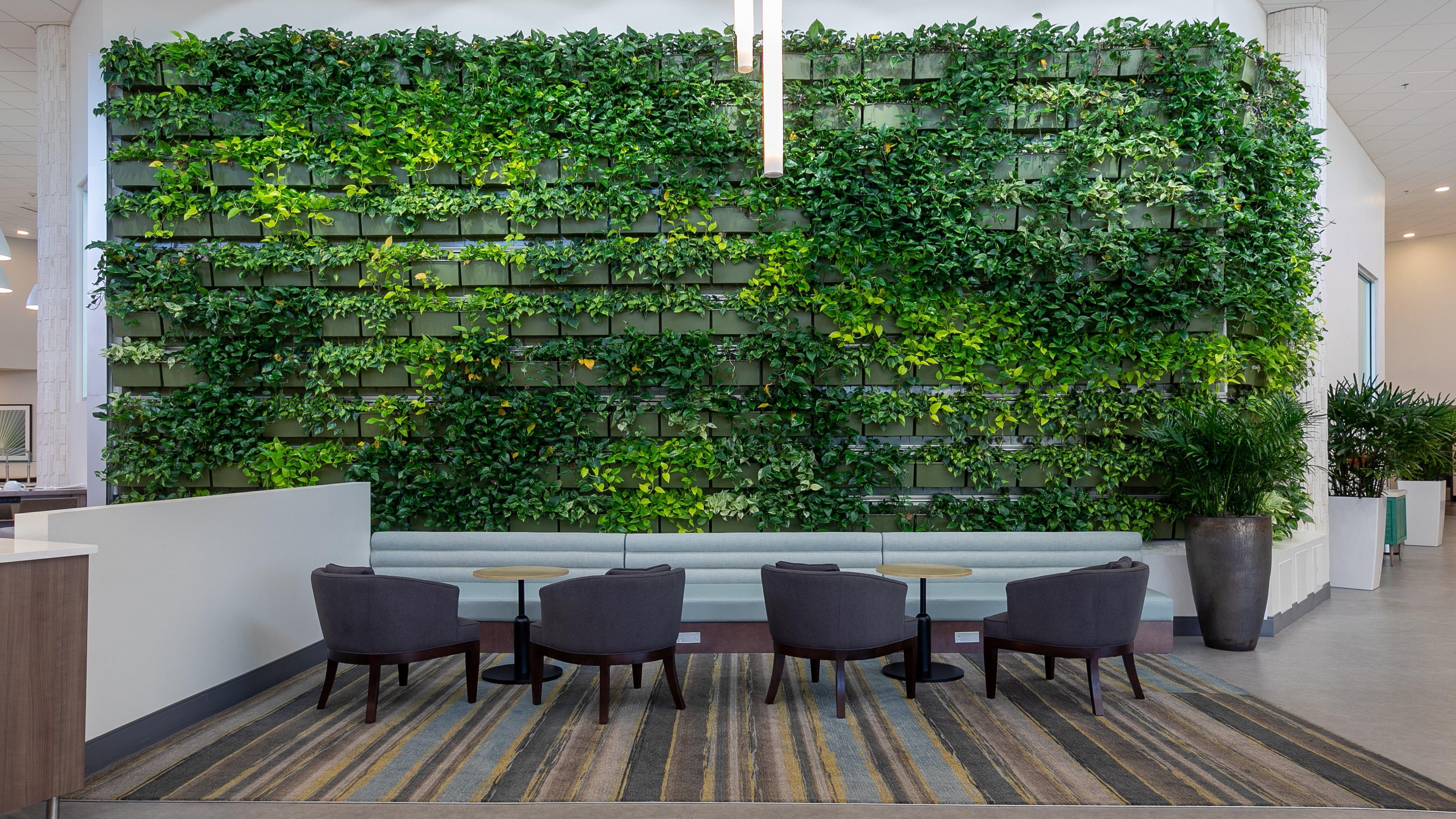 Holiday Inn Panama City By Ihg Ngoại thất bức ảnh